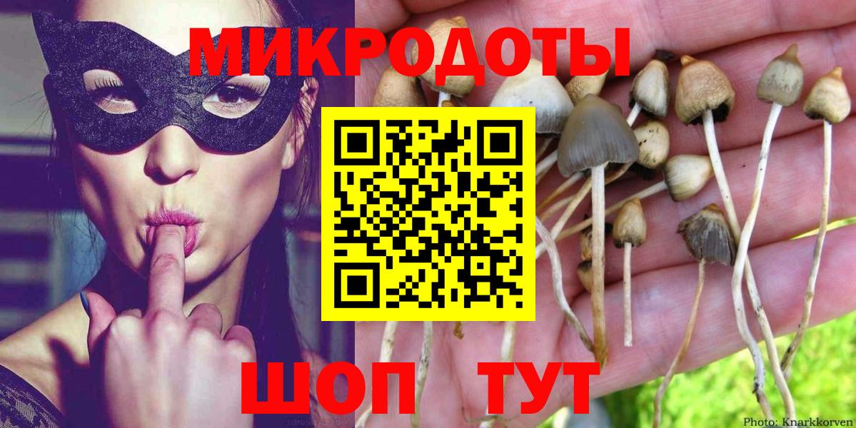 Псилоцибиновые грибы Cubensis Шахты